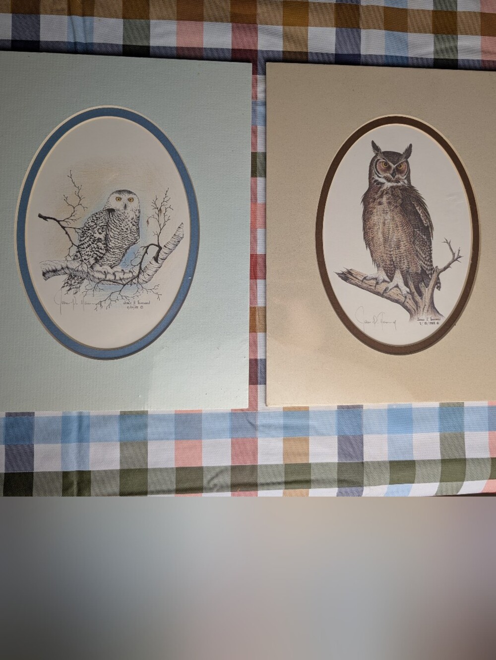 James P. Townsend Owl Art Prints in Blue and Tan Mats